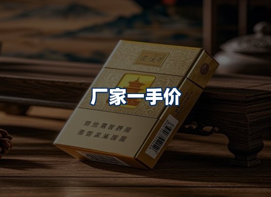专业团队办公环境